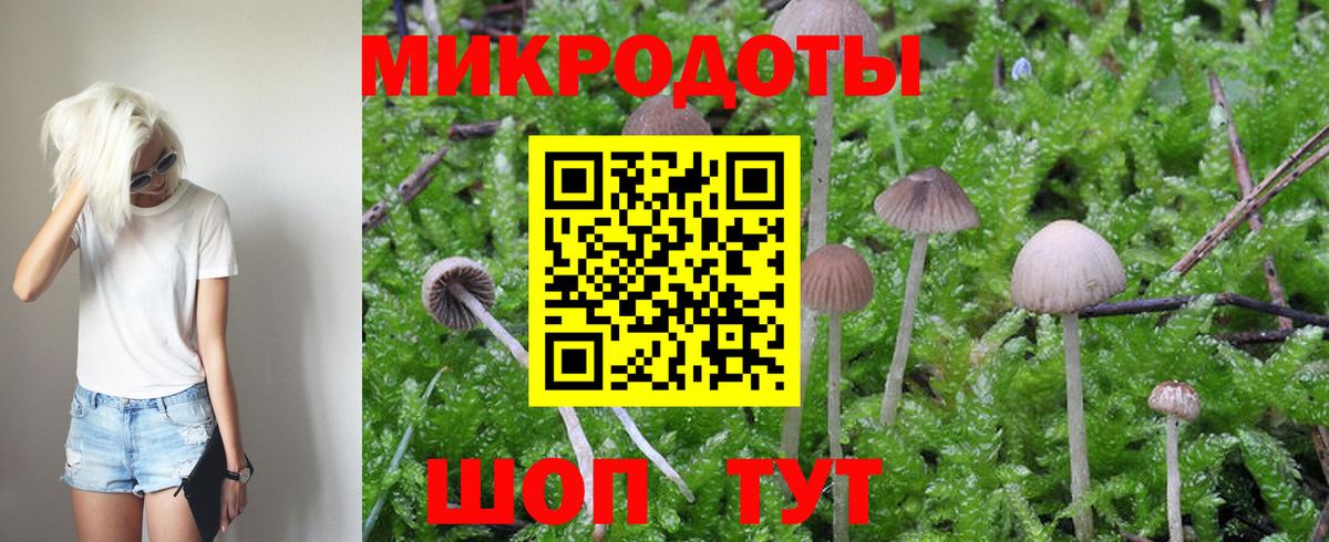 Красноармейск  Галлюциногенные грибы ЛСД  Псилоцибиновые грибы прущие грибы  Вход с VPN 
